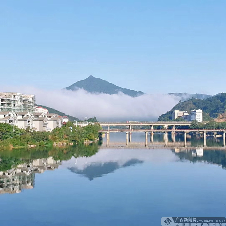 永福:当好城市"管家" 美化城市面貌 (5/5)
