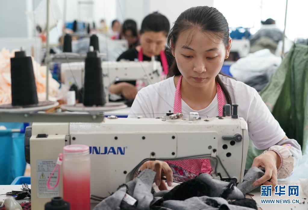 发展毛绒玩具产业 助力群众就业增收 (2)