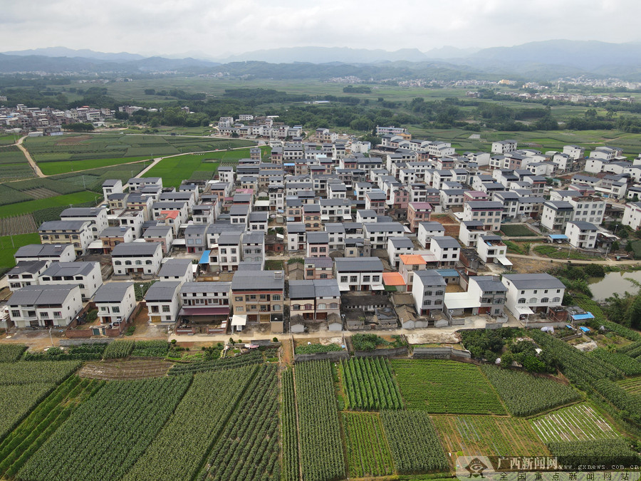 横县东圩壮歌图片