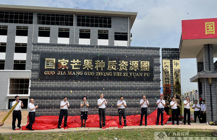 首届中国芒果产业大会在百色田东举办