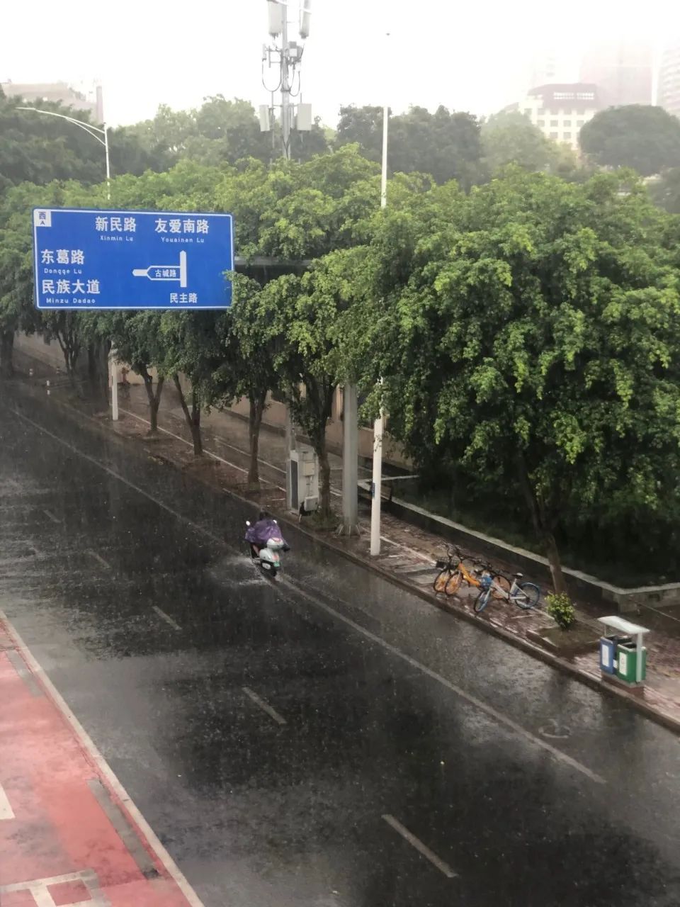 21日上午,南宁下起了雨.秦茵梓 摄