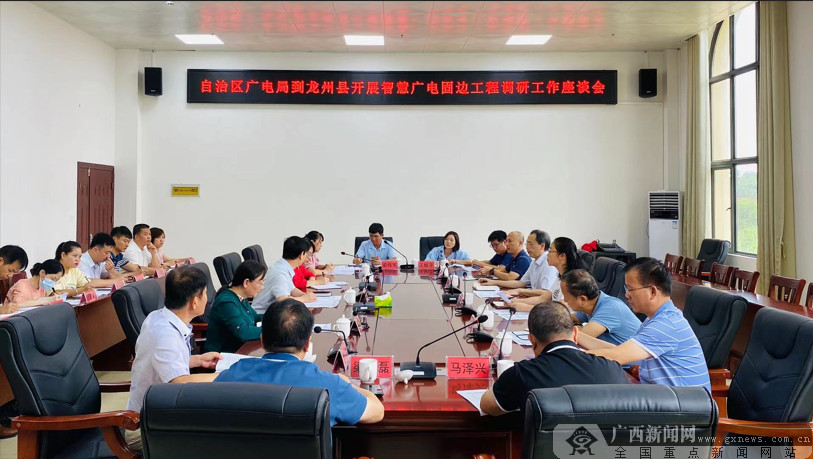 智慧广电固边工程调研工作座谈会现场.广西新闻网 李济坤摄