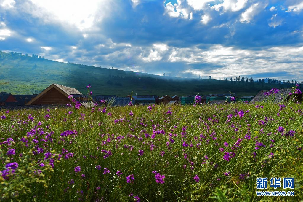 夏日里的禾木村 (5)