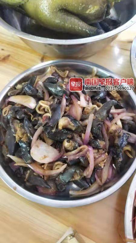 南宁一小区居民捡非洲大蜗牛烹食 专家:不建议!