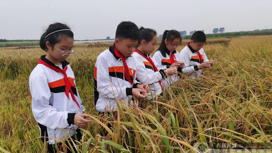 北海第三小学图片