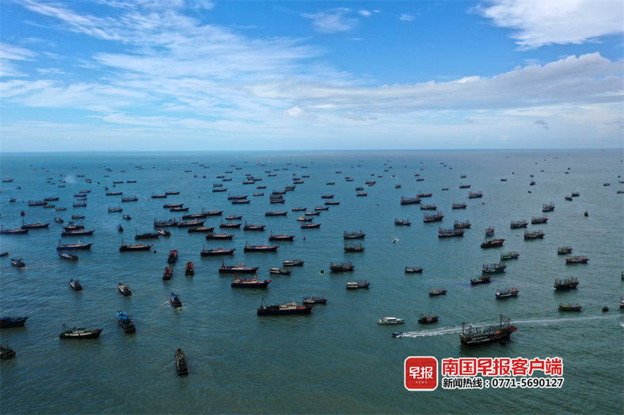 千帆竞发北部湾开海了一大波生猛海鲜即将来袭