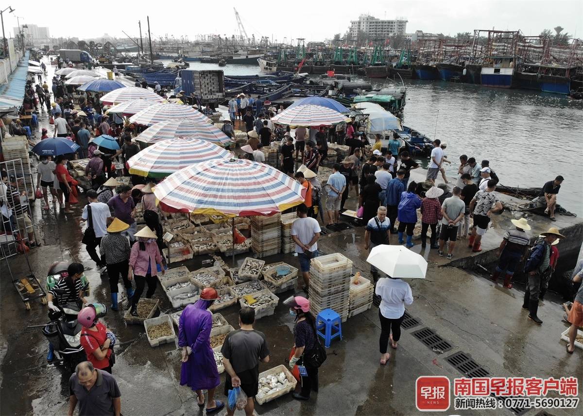 在北海侨港码头,各大海鲜市场,一波又一波生猛海鲜上岸,市民争相