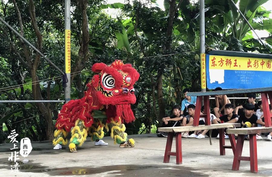 禤洲狮队成员进行狮舞表演.梁馨予 摄