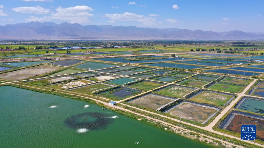 湖北对虾养殖基地在哪里 湖北养对虾骗局是怎么回事?