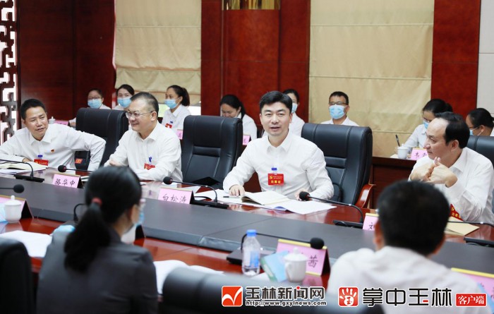 白松涛参加玉州区代表团讨论