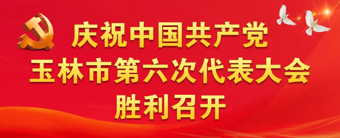 一图读懂玉林市第六次党代会报告