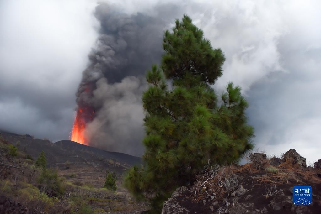 直击西班牙拉帕尔马岛火山喷发