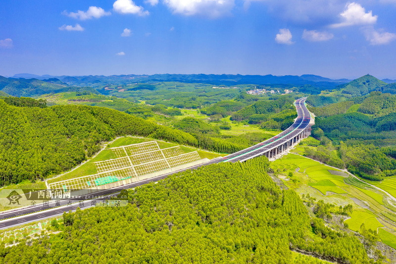 南宁沙井至吴圩高速公路那胡高架大桥.广西交通投资集团 供图