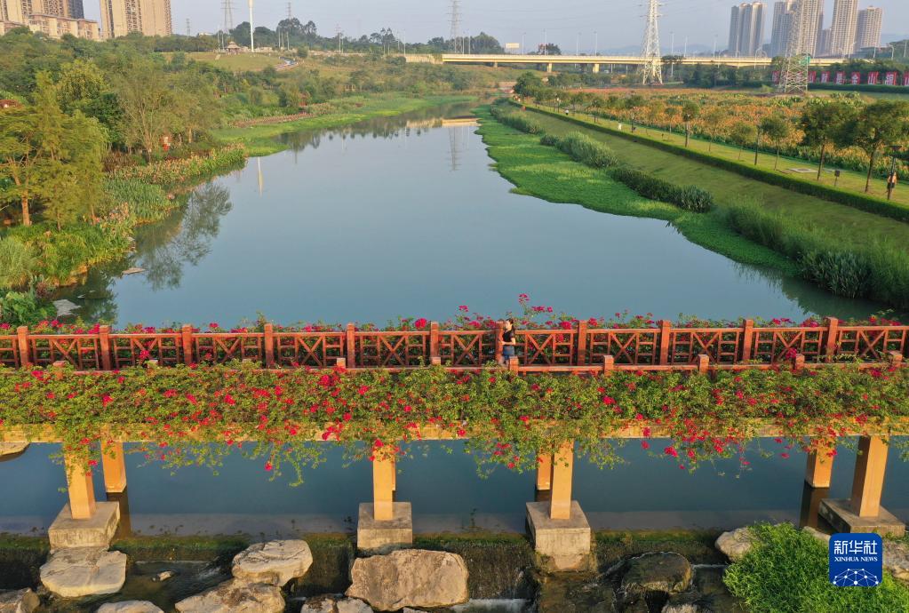 10月5日,市民在南宁市那考河湿地公园散步(无人机照片).