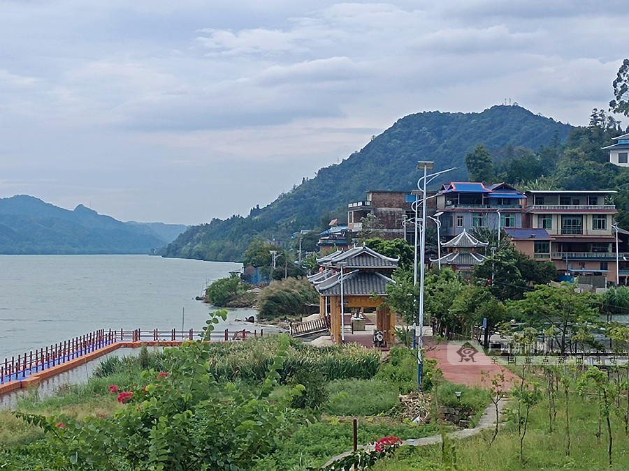 柳州融水大浪镇举办首届油茶文化节图66