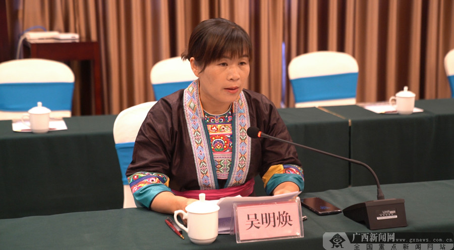 三江县人民政府副县长吴明焕正在发言.广西新闻网记者 何淞荧摄