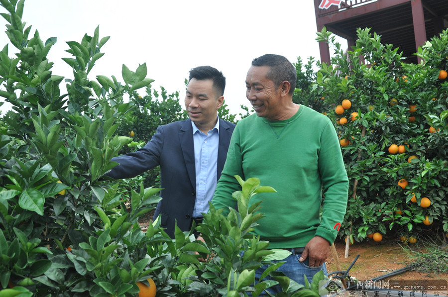 农业种植贷款
