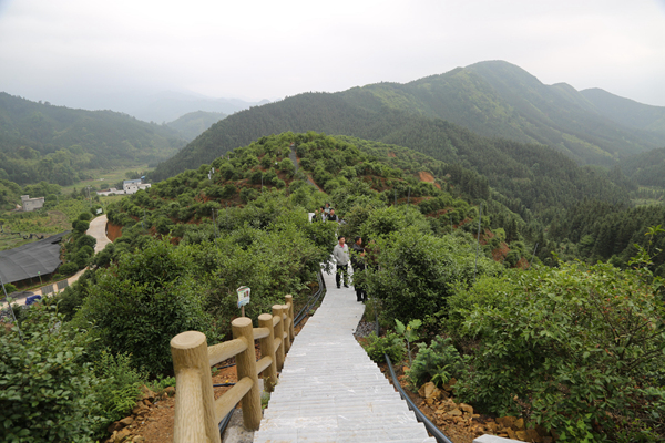 灌阳黄关镇活用绩效考核指挥棒助力乡村振兴