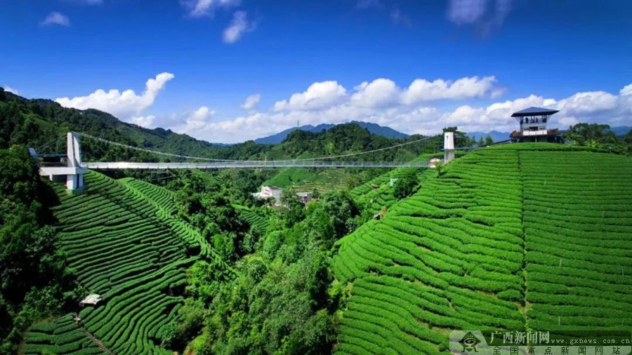 广西昭平县旅游景点图片