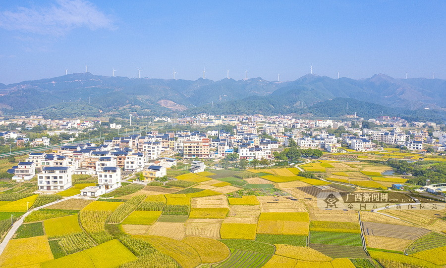 贵港市港北区文旅入村村美民富