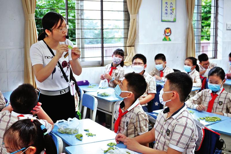 南宁市沙江小学学生给菜苗松土,浇水