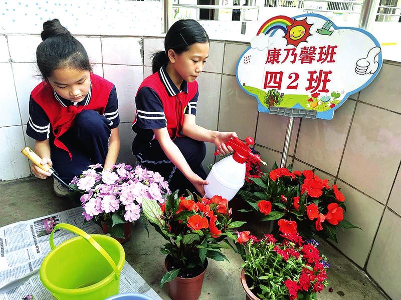 南宁市沙江小学学生给菜苗松土,浇水