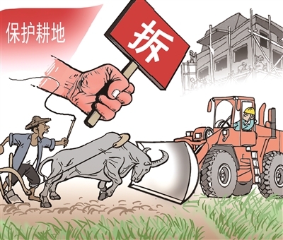 去年10月开始,我市开展新增乱占耕地建房整治攻坚行动,让耕地保护真正