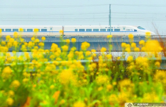 2023全国两会述评专题