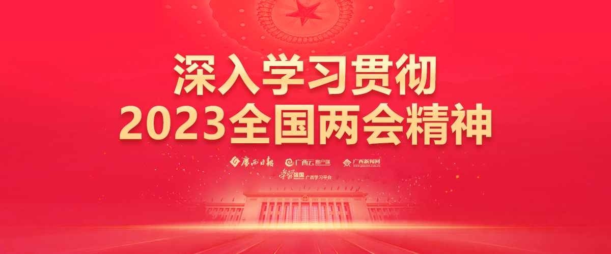 深入学习贯彻2023全国两会精神