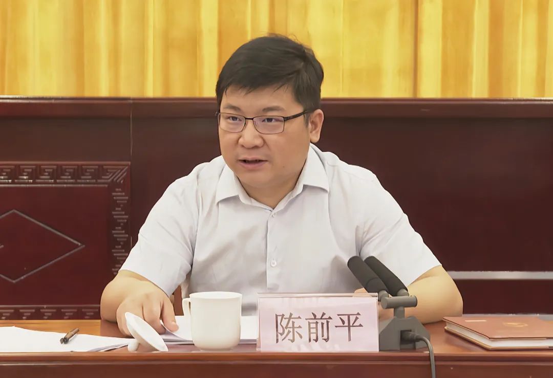 (图片来源:武宣县融媒体中心)县委副书记,县长陈前平传达学习全区第二