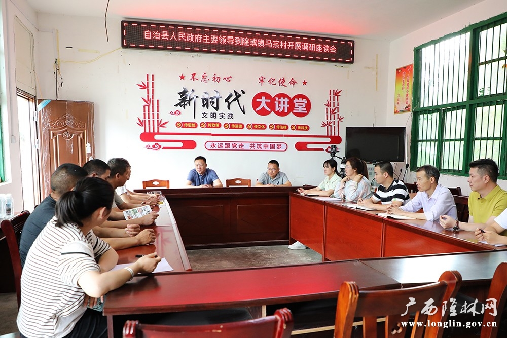 隆林各族自治县对隆或镇乡村振兴工作展开调研指导