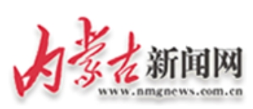 ���ɹ�������