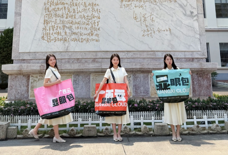 �����Ĳ��롷ȫ�����������������������ڶ������ֻ��Ĵ������翪����
